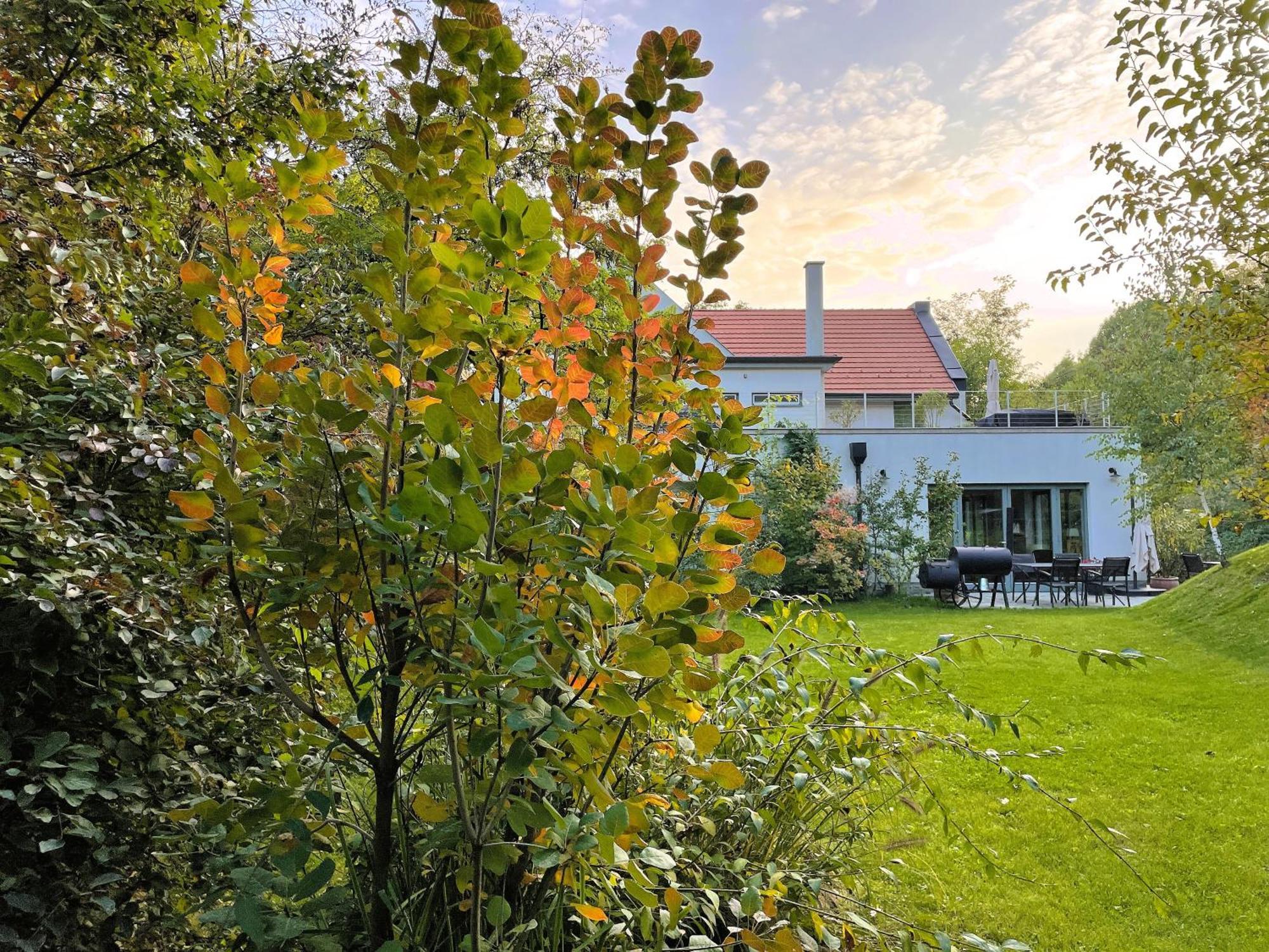 Villa Viridis Buekkalja Borsodgeszt Exterior photo
